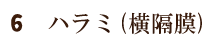 6：ハラミ(横隔膜)