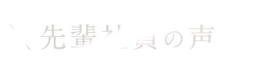 先輩社員の声